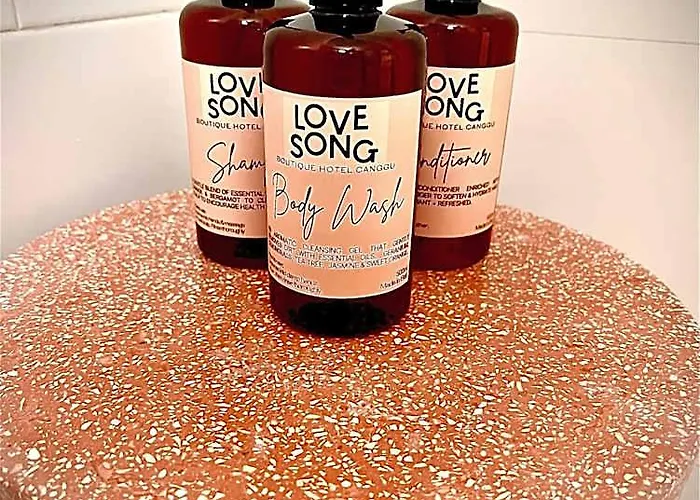 Song Hotel *